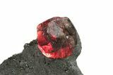 Plate of Three Red Embers Garnets in Graphite - Massachusetts #225887-2